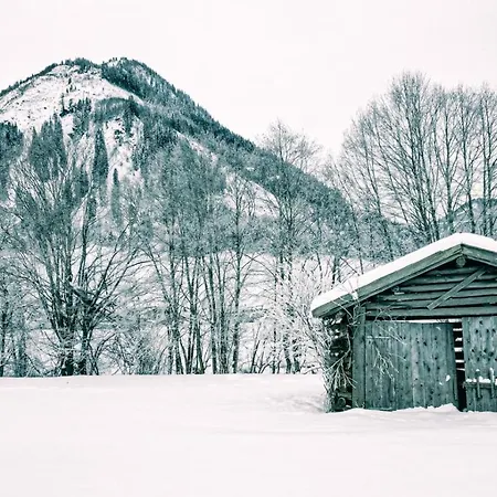 Goldberg-aparts Tal راوريس