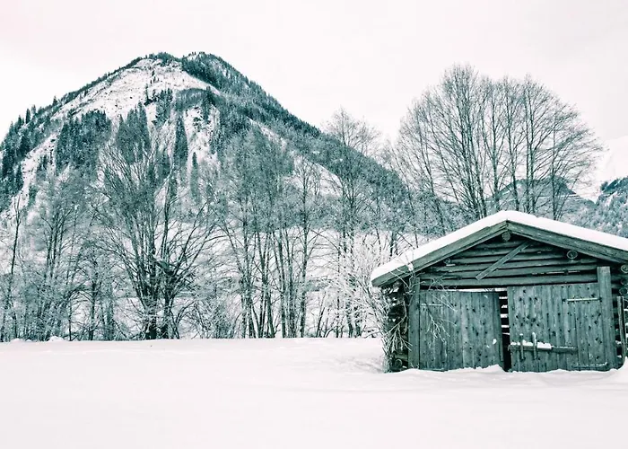 Goldberg-aparts Tal Rauris